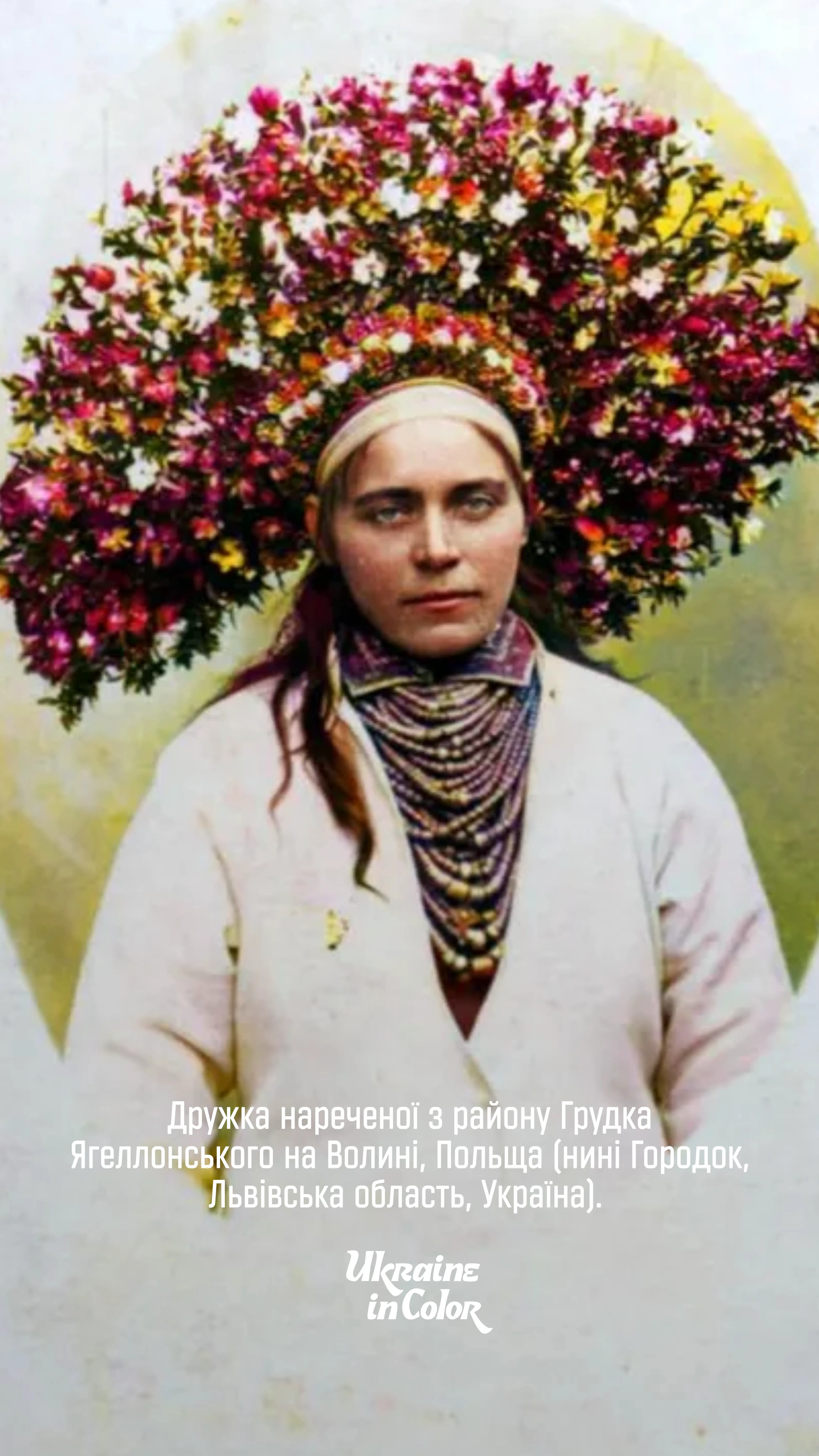 Culturna Builder sample 