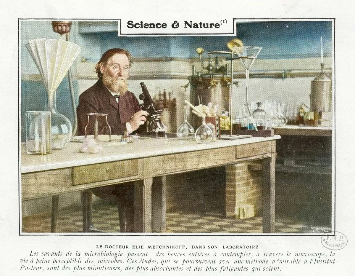 Doctor Elie Metchnikoff, in his laboratory, Nature & Science