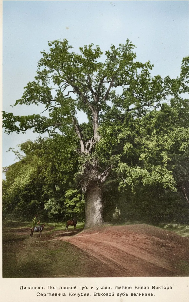 Mazepa's oak from afar